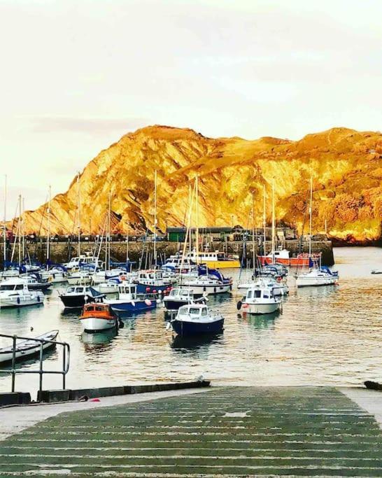 Paramount Apartments Ilfracombe, Arty Seaside Holiday Apartments Eksteriør billede